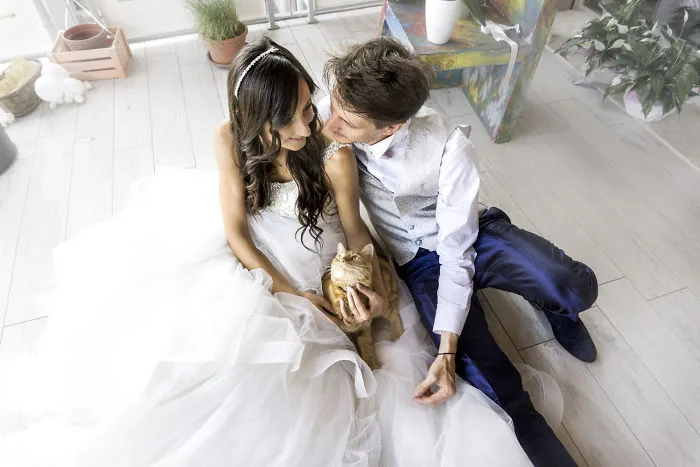 Soy una fotógrafa que hace sesiones privadas post-boda con gatos, y este es el resultado