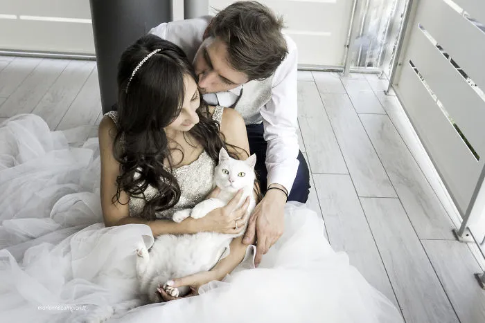 Soy una fotógrafa que hace sesiones privadas post-boda con gatos, y este es el resultado