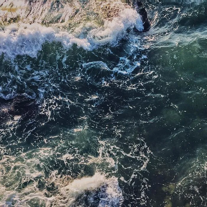 I Have Been Taking Pictures With My iPhone 5s, And Here Are Some Of The Results