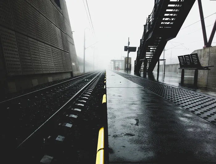 I Have Been Taking Pictures With My iPhone 5s, And Here Are Some Of The Results