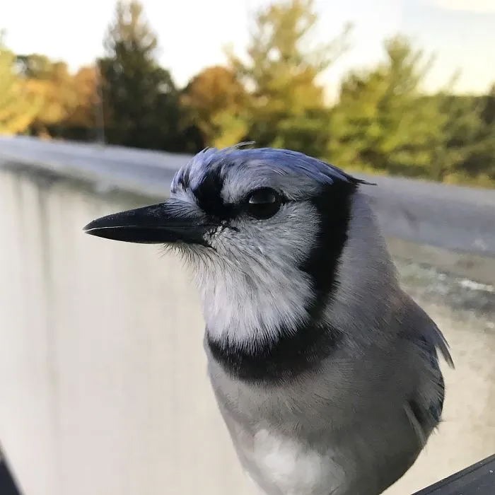 My 4th Floor Friend