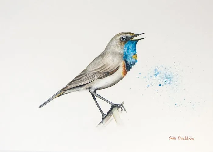 Stunning Watercolor Paintings Of Animals By Yana