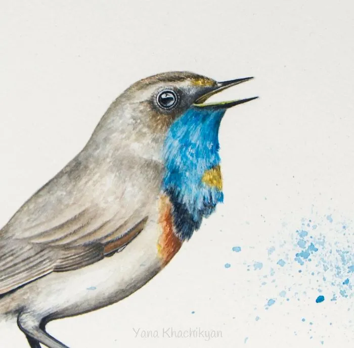 Stunning Watercolor Paintings Of Animals By Yana