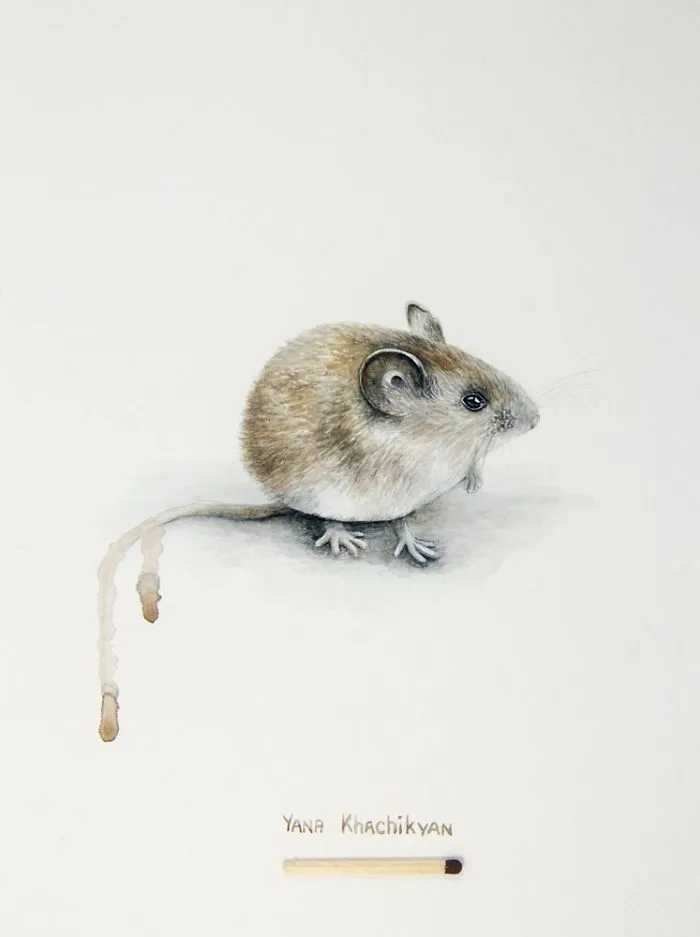 Stunning Watercolor Paintings Of Animals By Yana
