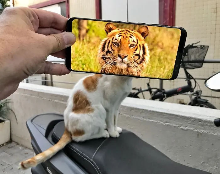 I Bring Everyday Objects To Life With My Smartphone