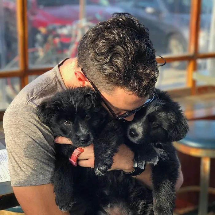 Este hombre encontró 2 cachorros abandonados en medio del desierto y se los llevó a un viaje épico