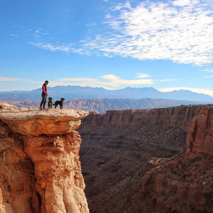 Este hombre encontró 2 cachorros abandonados en medio del desierto y se los llevó a un viaje épico