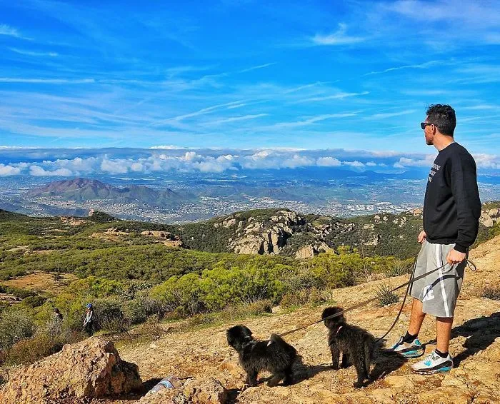 Este hombre encontró 2 cachorros abandonados en medio del desierto y se los llevó a un viaje épico