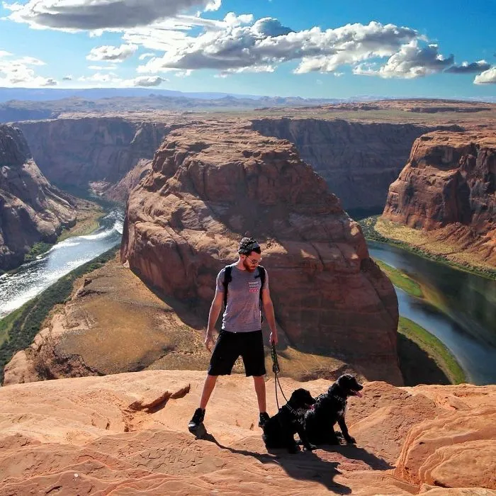 Este hombre encontró 2 cachorros abandonados en medio del desierto y se los llevó a un viaje épico