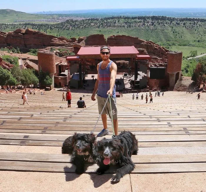 Este hombre encontró 2 cachorros abandonados en medio del desierto y se los llevó a un viaje épico