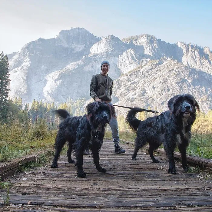 Este hombre encontró 2 cachorros abandonados en medio del desierto y se los llevó a un viaje épico