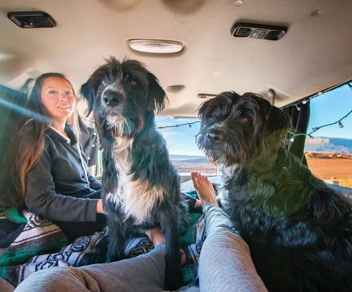 Este hombre encontró 2 cachorros abandonados en medio del desierto y se los llevó a un viaje épico