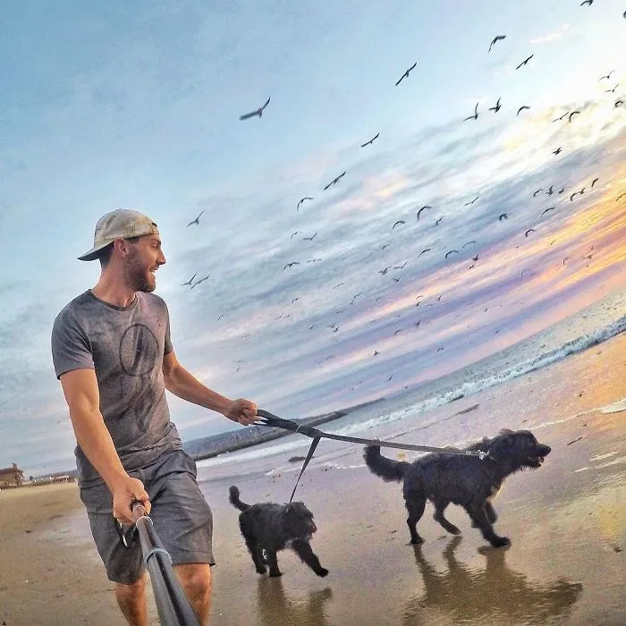 Este hombre encontró 2 cachorros abandonados en medio del desierto y se los llevó a un viaje épico
