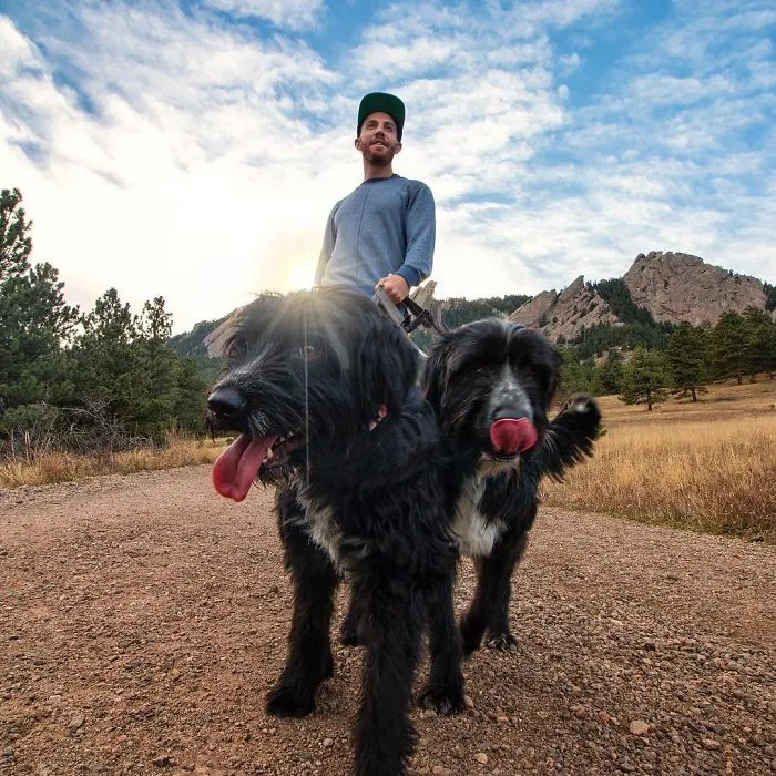 Este hombre encontró 2 cachorros abandonados en medio del desierto y se los llevó a un viaje épico