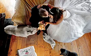 25 Animals That Were The Star Of The Wedding