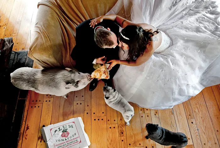 25 Animals That Were The Star Of The Wedding