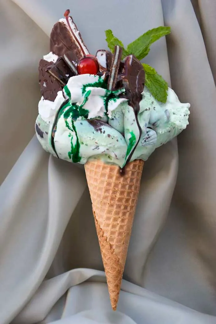 Mint Chocolate Chip Delight