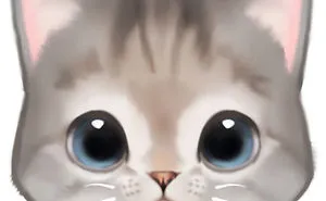 Now You Can Play With Nala And Furriends Any Day Anywhere!! Thanks To Vancouver Based Cat Game Featuring All Celebrity Cats You Love...