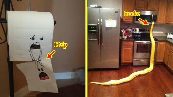 Hilarious Sights People Actually Came Home To