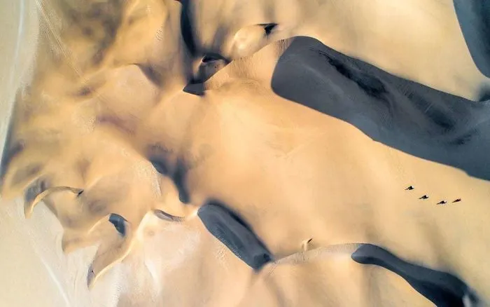 Quad Bikes In The Dunes