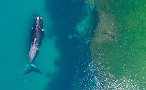 22 Best Drone Pictures Of 2017 Have Just Been Announced By Dronestagram, And They're Stunning