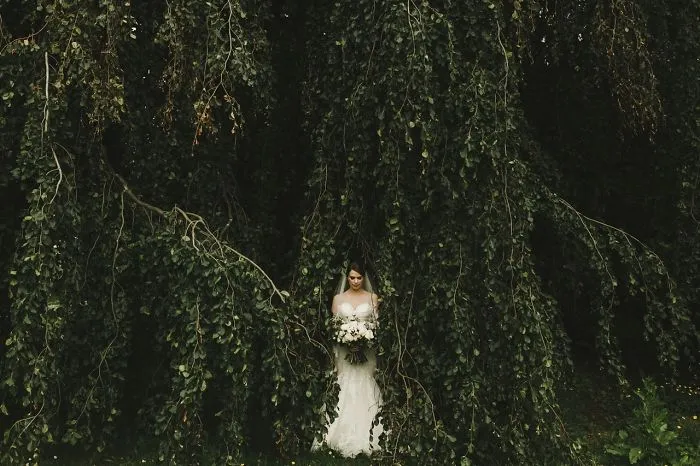 Se acaban de anunciar las mejores fotos de boda del año, y son increíbles