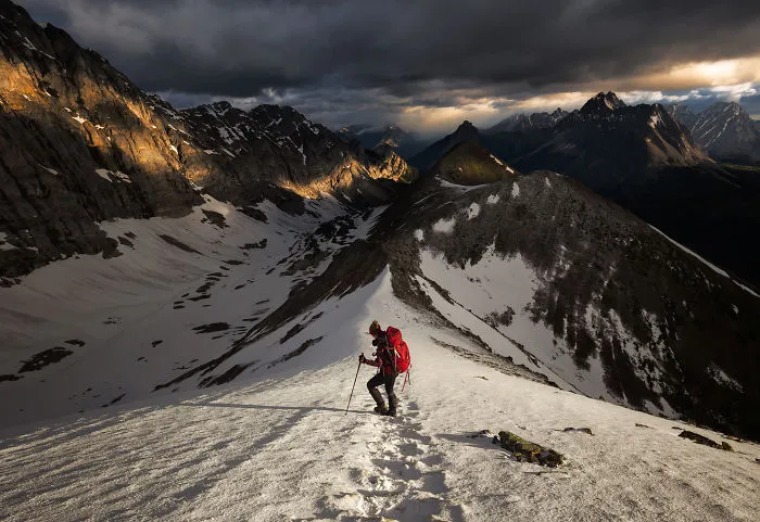 Pocaterra Ridge In Peter Loughead Provincial Park