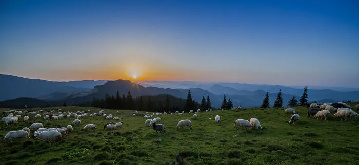 28 Reasons Why I Would Never Trade Romania For Any Country In The World