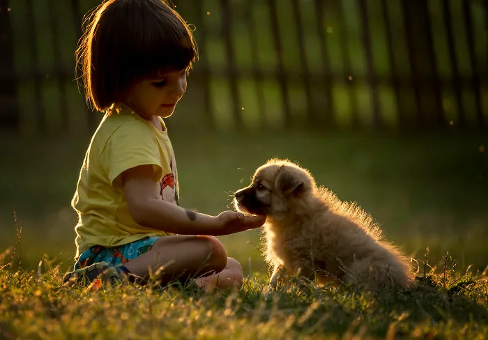 28 Reasons Why I Would Never Trade Romania For Any Country In The World
