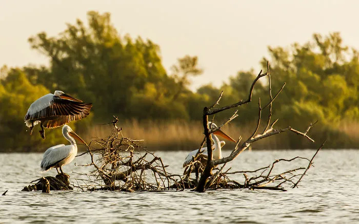 28 Reasons Why I Would Never Trade Romania For Any Country In The World