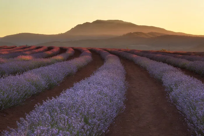 We Traveled The World's Most Scenic Destinations, And Here's What We Managed To Capture (20 Pics)