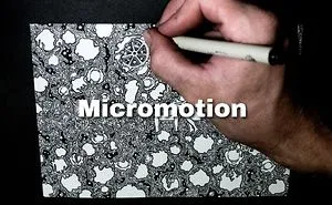 "30 Hours In 30 Seconds"
a Mini Stopmotion Of A Highly Detailed Fineliner Drawing With Vocal Sounds On Top