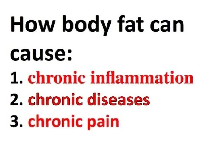 How Body Fat Causes Inflammation, Chronic Disease, And Pain