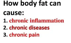 How Body Fat Causes Inflammation, Chronic Disease, And Pain
