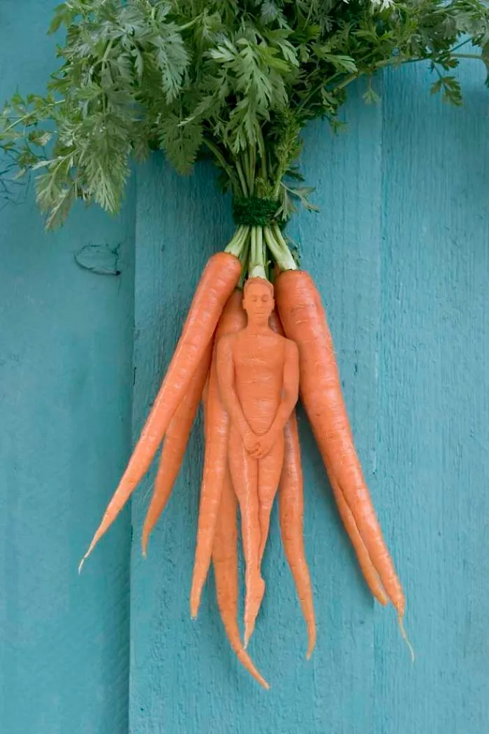 Zanahorias