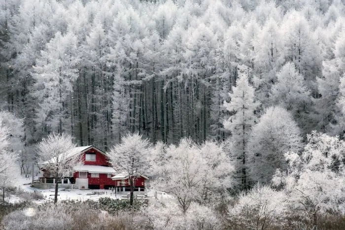 Photographer Captures The Beauty Of Japan In Winter, And The Pics Will Take Your Breath Away