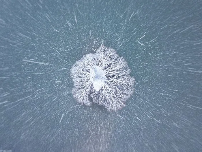 Photographer Captures The Beauty Of Japan In Winter, And The Pics Will Take Your Breath Away