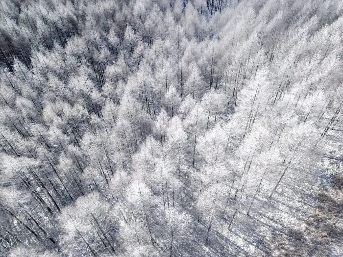 Photographer Captures The Beauty Of Japan In Winter, And The Pics Will Take Your Breath Away