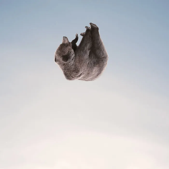 Falling