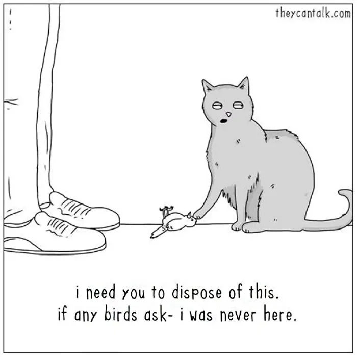 31 Differences Between Cats And Dogs That Are Impossible Not To Laugh At