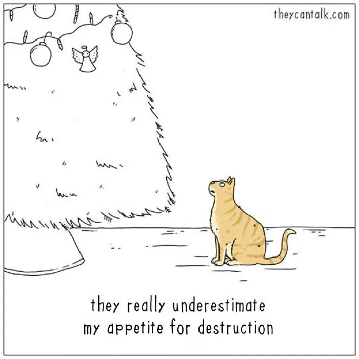 31 Differences Between Cats And Dogs That Are Impossible Not To Laugh At