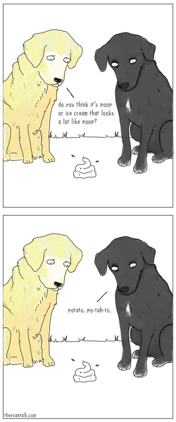 31 Differences Between Cats And Dogs That Are Impossible Not To Laugh At