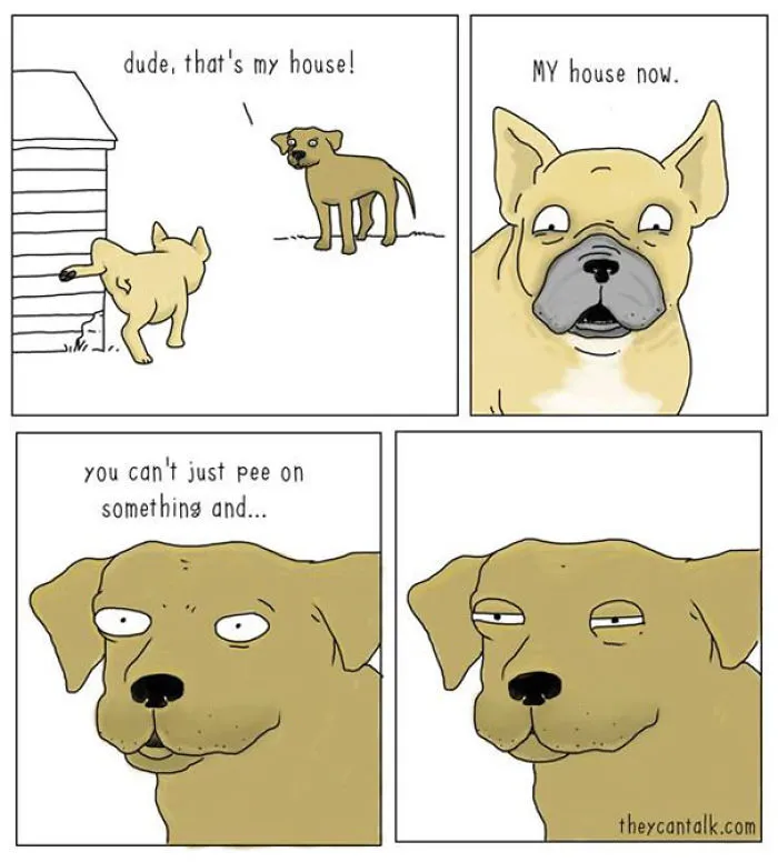 31 Differences Between Cats And Dogs That Are Impossible Not To Laugh At