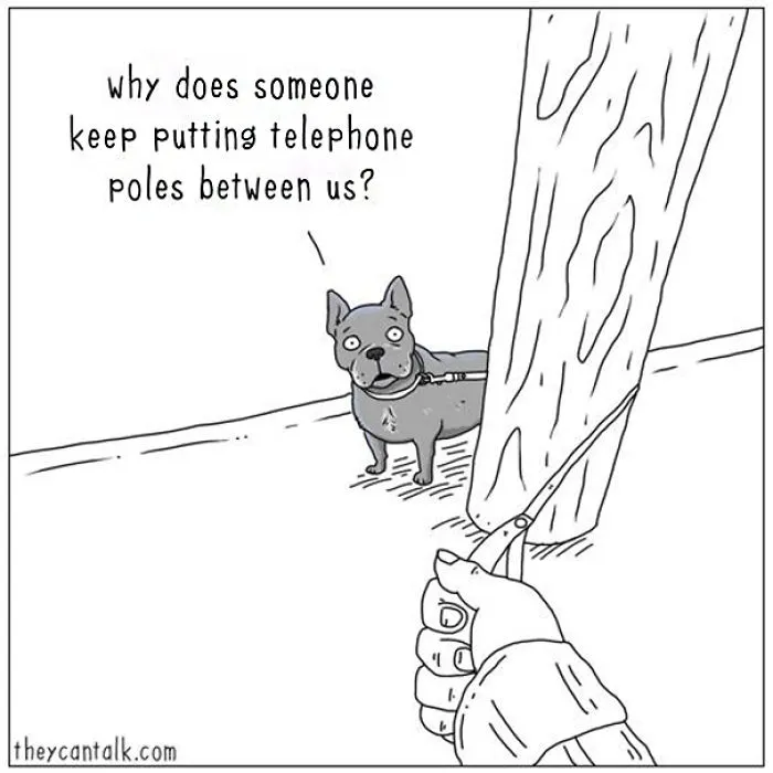 31 Differences Between Cats And Dogs That Are Impossible Not To Laugh At