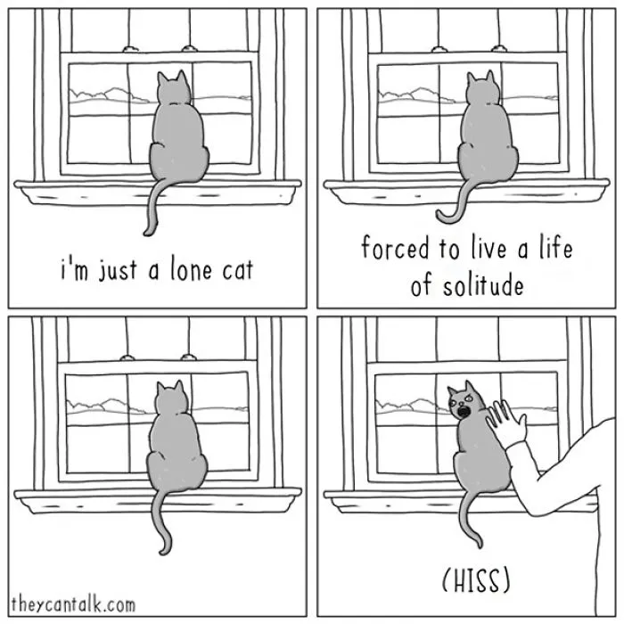31 Differences Between Cats And Dogs That Are Impossible Not To Laugh At