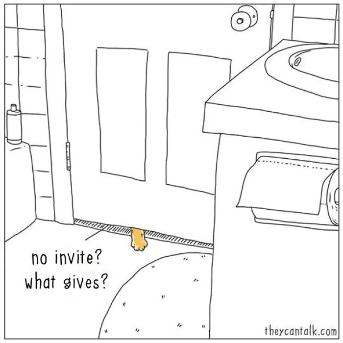 31 Differences Between Cats And Dogs That Are Impossible Not To Laugh At