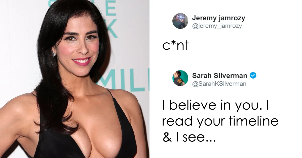 Sexist Troll Attacks Sarah Silverman On Twitter, And Her Unexpected Response Turns Man's Life Upside Down