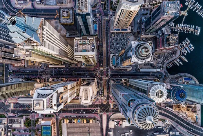 Concrete Jungle