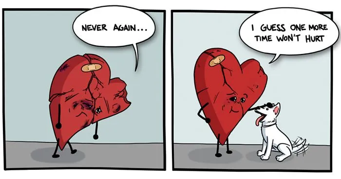 Comics About Making It Through Life 