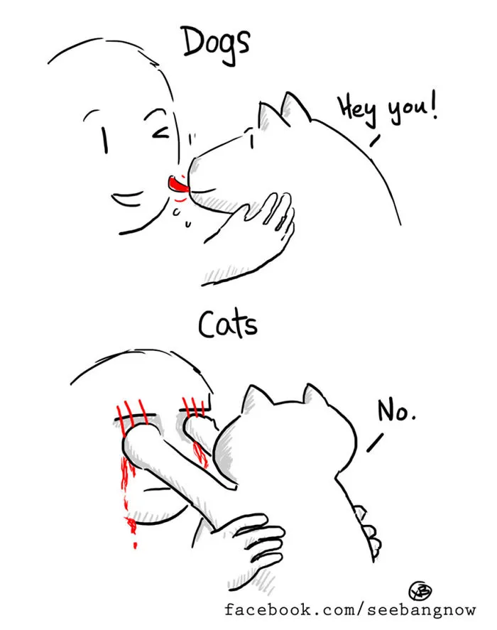 17 Hilarious Comics That Reveal The Reality Of Having A Cat